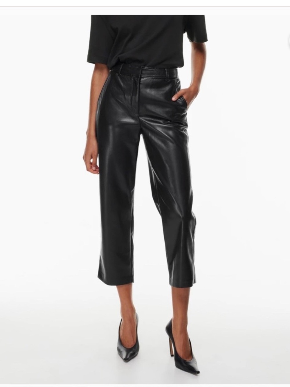 Aritzia Babaton Command Cropped vegan pants